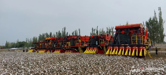 钵施然农机 以“新疆制造”智绘农业新图景