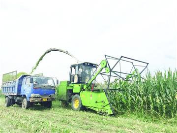 青岛加速建设全国主要农作物生产全程机械化示范市 农业机械制造迎来新机遇